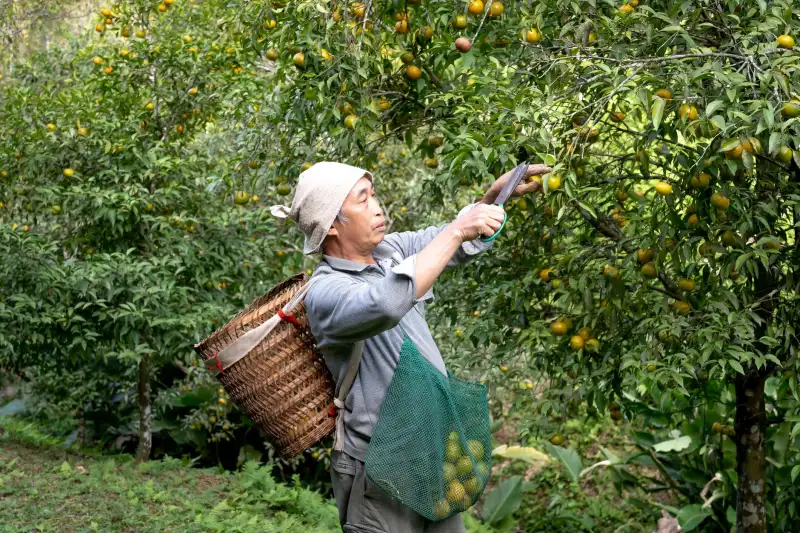固定资产标签软件选型指南：企业如何匹配适合的资产管理工具